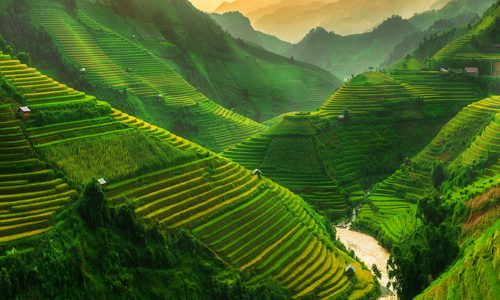 Unique Ninh Binh Full Day Farming, Biking & Boat Rowing