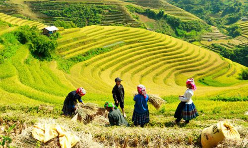 Unique Sapa Full Day Farming, Biking & Trekking