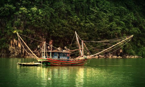 A farm-to-table full-day eco-tour in an historic village close to Hanoi – TA001